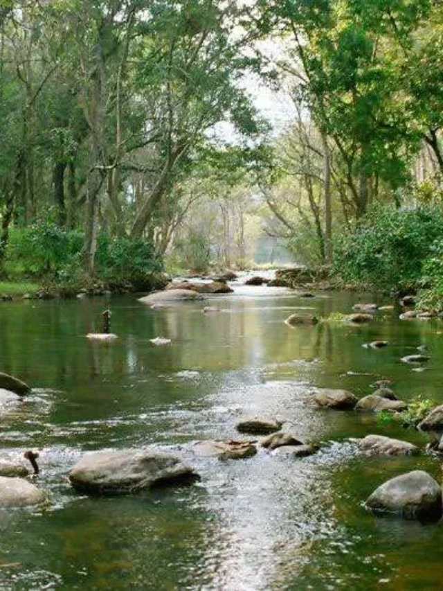 Chinnar-Wildlife-Sanctuary