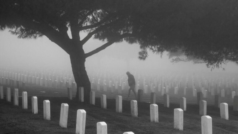 Ghost in kalpalli cemetery