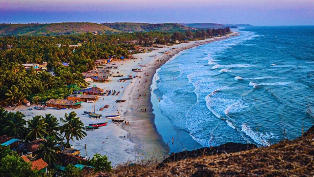 A view of Mandrem beach from the sky