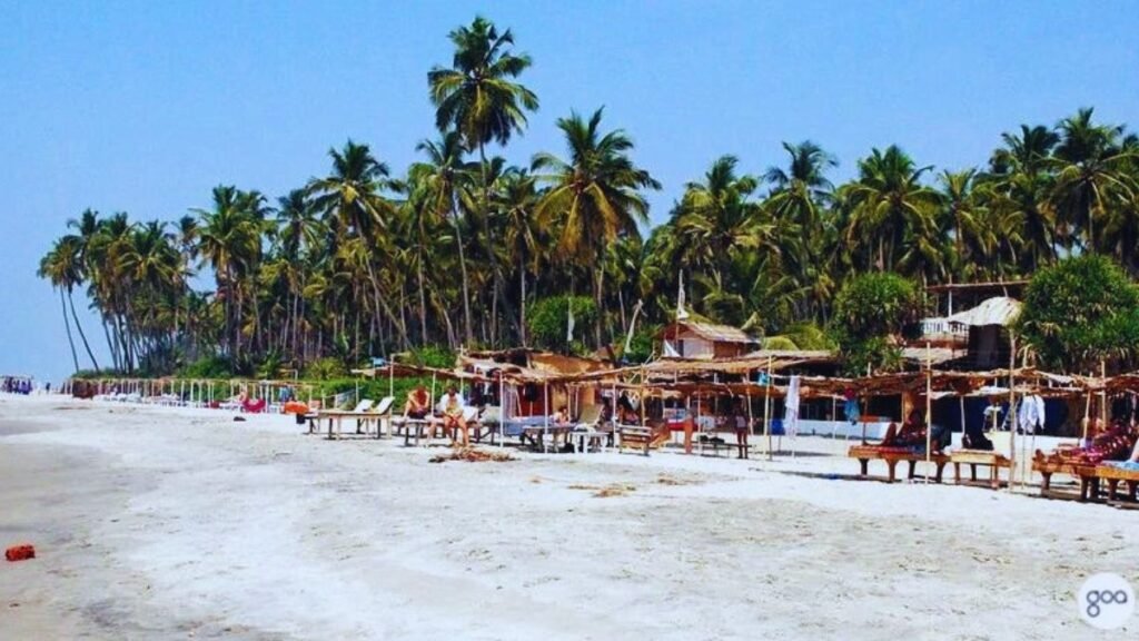 Morjim Beach in North Goa with shacks located on the beach