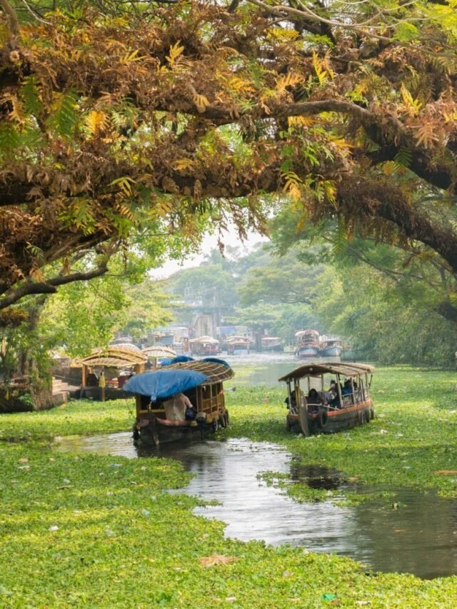 Alleppey in Kerala Monsoon 2024