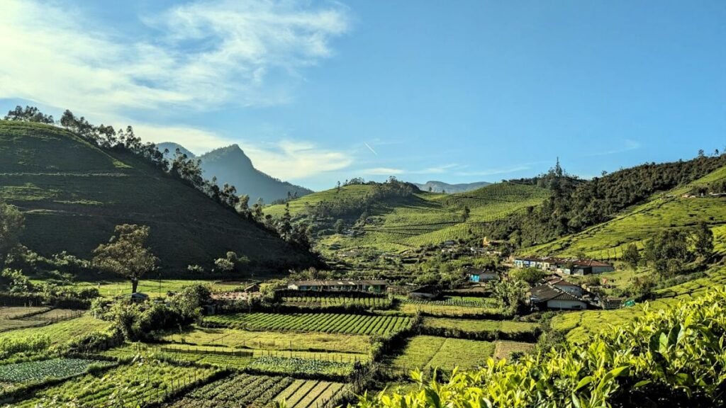 Cloud Farm Trek with a view of tea plantations of Munnar