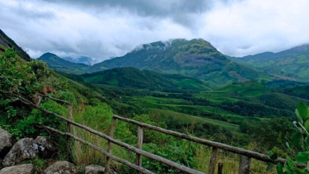 Eravikulam national park
