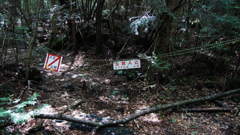 No entry sign at the Aokigahara forest Japan