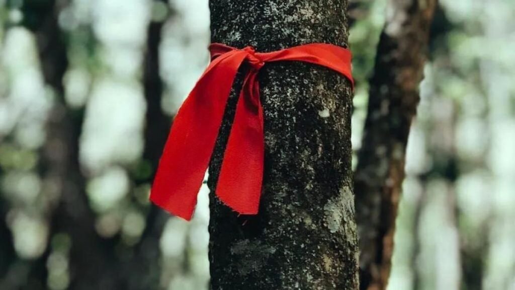 A red ribbon tied to a tree in the suicide forest so that people may find the route easily without getting lost